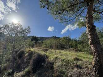 Wycieczka fakultatywna, Kyrenia Jeep Safari