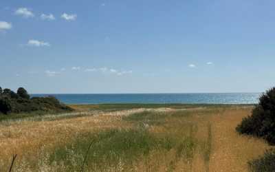 Wycieczka fakultatywna, Wycieczka na plażę Skała Afrodyty z karmieniem osiołków z Pafos