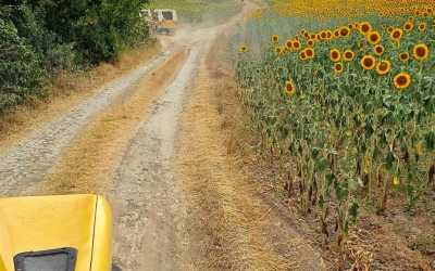 Obóz młodzieżowy, Złote Piaski - obóz Chill out Zone - All Inclusive Hotel Carnival***, 8 dni 14-18 lat