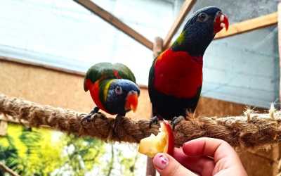 Obóz młodzieżowy, Jastrzębia Góra - obóz książkowy z Marysią Krasowską OW Diuna, 10 dni 11-17 lat